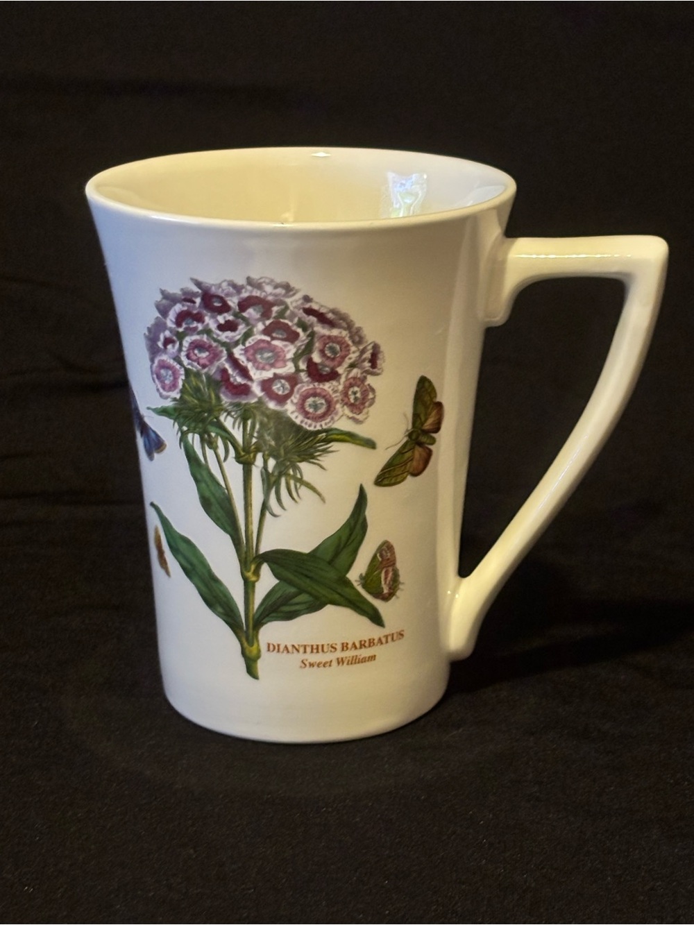 Portmeirion Botanic Garden “Dianthus Barbatus” Sweet William Ceramic Mug.